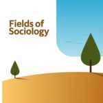 Fields of Sociology – Classification of Sociology into Specialized Fields