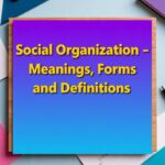 Social Organization – Meanings, Forms and Definitions